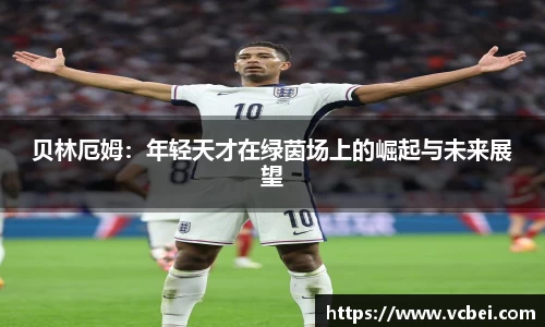 乐发Vll彩票官方
